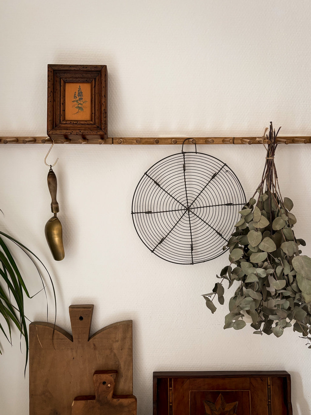 Vintage Botanical Wall Art on Board