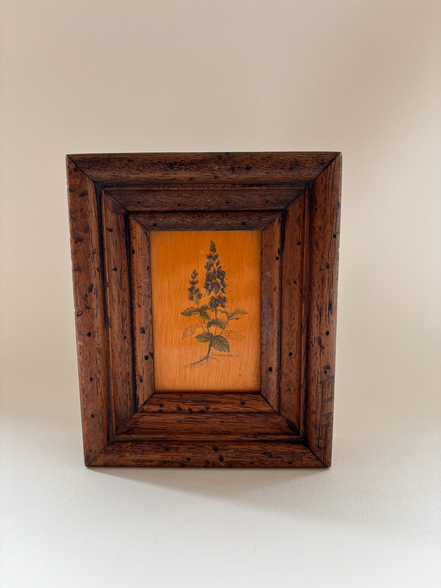 Vintage Botanical Wall Art on Board