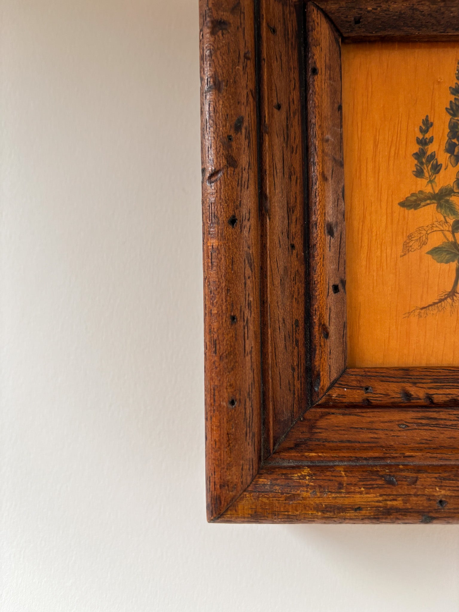 Vintage Botanical Wall Art on Board
