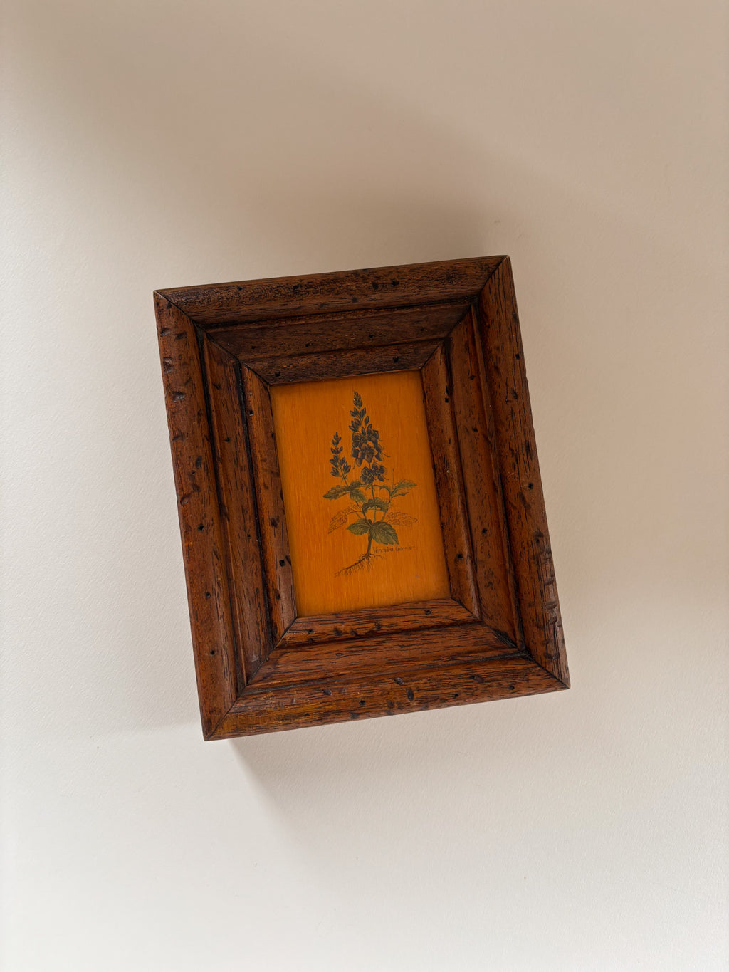 Vintage Botanical Wall Art on Board