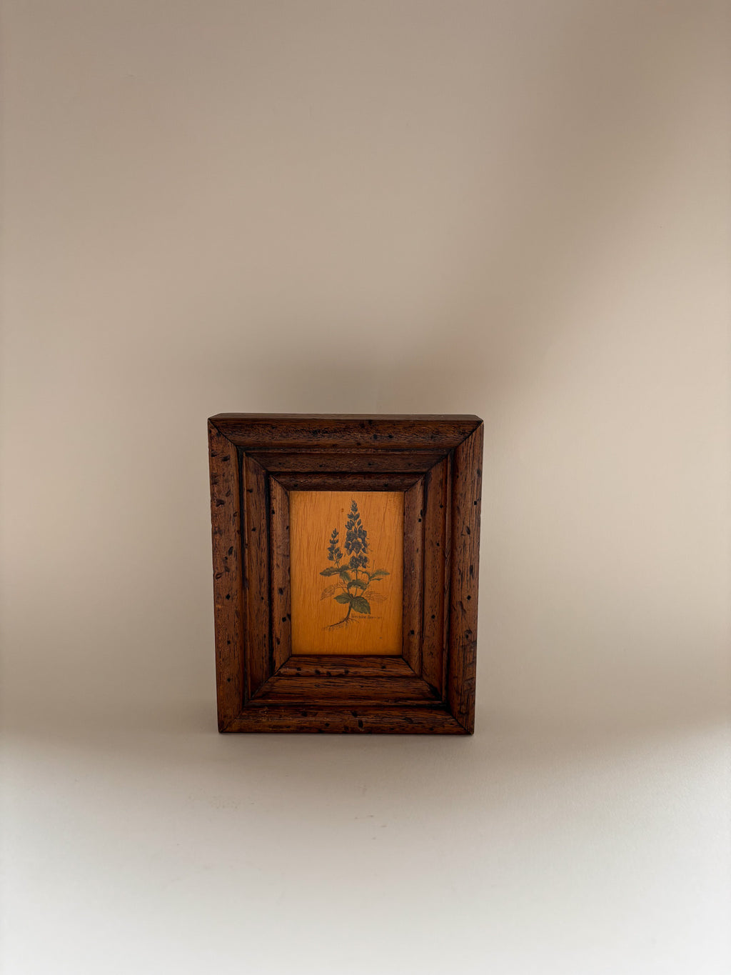 Vintage Botanical Wall Art on Board