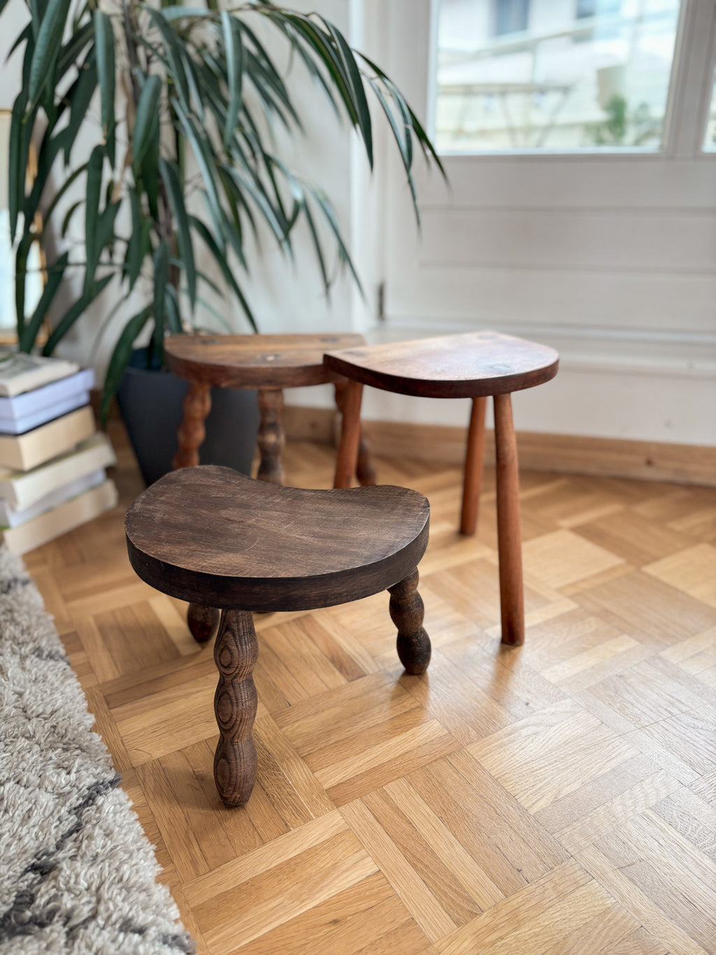 Vintage french wooden stools on a wooden floor with a plant in the background